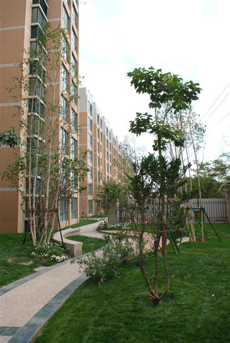 k8��������Ӯ��һ��������԰���ھֲ����۳��μ��ͣ��׾�ʵ�ģ�